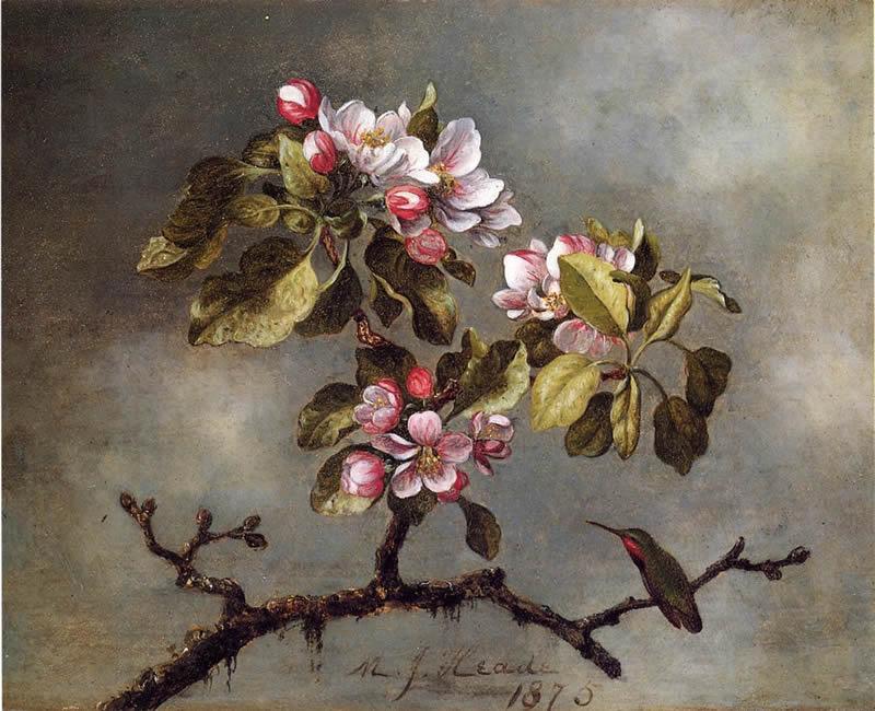 Martin Johnson Heade Apple Blossoms and Hummingbird